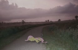 Size: 563x365 | Tagged: safe, artist:hionazzz, part of a set, fluttershy, pegasus, pony, g4, camera flashes, depressed, dirt road, face down, female, field, fog, forest, grass, green background, head in hooves, irl, mare, nature, overcast, photo, photography, ponies in real life, real life background, scared, simple background, solo, tree, weeds