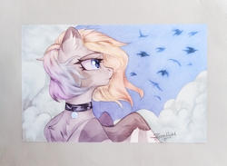 Size: 3659x2672 | Tagged: safe, artist:jsunlight, oc, oc only, oc:buvany, pegasus, pony, bust, chest fluff, cloud, collar, colored ear fluff, colored eartips, female, mare, multicolored mane, pegasus oc, solo, traditional art, windswept mane