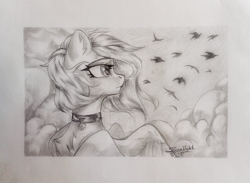 Size: 3659x2672 | Tagged: safe, alternate version, artist:jsunlight, oc, oc:buvany, pegasus, pony, solo, traditional art