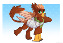 Size: 4212x2894 | Tagged: safe, artist:madelinne, oc, oc only, oc:pavlos, griffon, bandage, beak, broken bone, broken wing, cast, cheek fluff, claws, clothes, colored wings, commission, eared griffon, gradient background, griffon oc, injured, male, non-pony oc, sling, solo, tail, wings