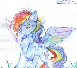 Size: 1317x1154 | Tagged: safe, artist:laymy, rainbow dash, pegasus, pony, g4, raised hoof, solo, traditional art, watercolor painting
