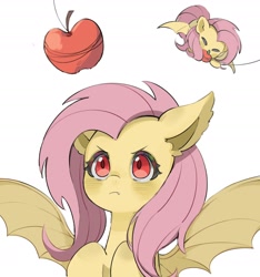 Size: 2252x2402 | Tagged: safe, artist:chonpsk, fluttershy, bat pony, pony, g4, apple, bat ears, bat ponified, bat wings, eating, eyes closed, eyes on the prize, fangs, female, flutterbat, food, herbivore, high res, looking at something, lying down, mare, prone, race swap, simple background, slit pupils, solo, spread wings, white background, wings
