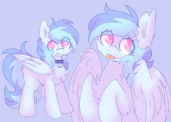 Size: 2800x2000 | Tagged: safe, artist:puppie, oc, oc only, oc:cuddle cloud, pegasus, pony, :p, bell, bell collar, blue background, chest fluff, collar, colored pupils, cute, cute little fangs, ear fluff, fangs, female, fluffy, folded wings, heart, heart eyes, mare, partially open wings, pink eyes, simple background, solo, tail, tongue out, two toned mane, two toned tail, wingding eyes, wings