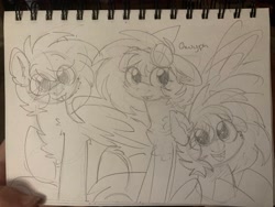 Size: 4032x3024 | Tagged: safe, artist:puppie, oc, oc only, oc:gryph xander, pegasus, pony, chest fluff, cute, lying down, male, prone, sketch, stallion, traditional art