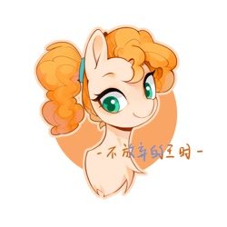 Size: 2000x2000 | Tagged: safe, artist:长海, pear butter, earth pony, pony, g4, bust, chinese, female, filly, foal, portrait, simple background, solo, text, white background, younger