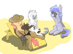 Size: 1280x941 | Tagged: safe, artist:pzkratzer, oc, oc only, oc:discoordination, oc:griffin zephyr, oc:ponygriff, griffon, pegasus, pony, ponygriff, aggie.io, camera, clothes, hat, imminent mud bath, lying down, male, mud, on back, simple background, sitting, sketch, speedo, sunbathing, swimming trunks, swimsuit, trio