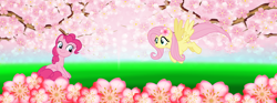 Size: 1374x511 | Tagged: safe, artist:lizzmcclin, fluttershy, pinkie pie, earth pony, pegasus, g4, cherry blossoms, flower, flower blossom