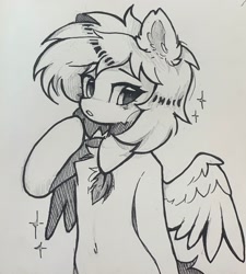 Size: 1844x2048 | Tagged: safe, artist:lerkfruitbat, oc, oc only, pegasus, pony, belly button, bipedal, black and white, chest fluff, ear fluff, female, grayscale, human shoulders, jewelry, mare, monochrome, necklace, simple background, sketch, solo, traditional art, white background