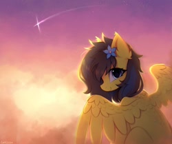 Size: 1024x858 | Tagged: safe, artist:lerkfruitbat, oc, oc only, pegasus, pony, cloud, ear fluff, female, flower, flower in hair, looking at you, looking back, looking back at you, mare, shooting star, solo, spread wings, sunset, wings