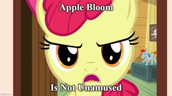 Size: 888x499 | Tagged: safe, edit, edited screencap, screencap, apple bloom, earth pony, pony, g4, just for sidekicks, amused, caption, clubhouse, crusaders clubhouse, female, filly, foal, image macro, imgflip, meme, meme face, rainbow dash balloon, solo, text