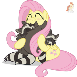 Size: 2521x2521 | Tagged: safe, artist:r4hucksake, artist:tominokurra, fluttershy, pegasus, pony, raccoon, g4, ^^, base used, blush lines, blushing, cute, eyes closed, female, folded wings, hug, mare, shyabetes, simple background, sitting, solo, transparent background, wings