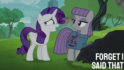 Size: 2000x1125 | Tagged: safe, edit, edited screencap, editor:quoterific, screencap, maud pie, rarity, earth pony, pony, unicorn, g4, season 6, the gift of the maud pie, city, female, horn, mare, park, rock, rock pouch