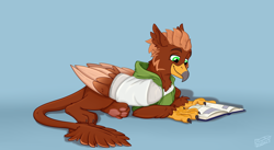 Size: 4100x2250 | Tagged: safe, artist:rutkotka, oc, oc:pavlos, griffon, bandage, beak, book, broken bone, broken wing, cast, cheek fluff, claws, clothes, colored wings, commission, eared griffon, folded wings, griffon oc, hoodie, injured, lying down, male, non-pony oc, paw pads, paws, reading, relaxing, sling, tail, toe beans, underpaw, wings