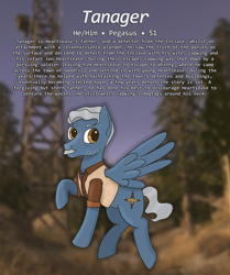 Size: 2370x2841 | Tagged: safe, artist:owslafa, oc, oc only, oc:tanager, pegasus, male, reference sheet, solo
