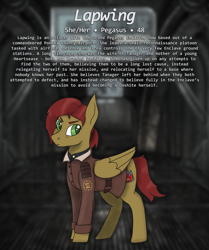 Size: 1185x1420 | Tagged: safe, artist:owslafa, oc, oc only, oc:lapwing, pegasus, fallout equestria, enclave, grand pegasus enclave, reference sheet, solo