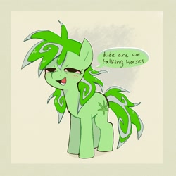 Size: 2256x2253 | Tagged: safe, artist:syrupyyy, oc, oc only, oc:stoney poney, earth pony, pony, beige background, blushing, dialogue, drugs, earth pony oc, female, green coat, high, high res, lidded eyes, long mane, long tail, mare, messy mane, messy tail, open mouth, open smile, passepartout, pink sclera, simple background, smiling, solo, speech bubble, standing, stoned, tail, talking, text, two toned mane, two toned tail