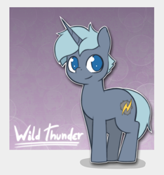 Size: 1520x1622 | Tagged: safe, artist:wild-thunder06, oc, oc:wild thunder, unicorn, cute, horn, male, simple background, stallion