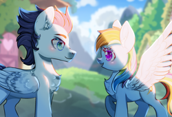 Size: 1680x1140 | Tagged: safe, artist:celedash, rainbow dash, soarin', pegasus, g4, backwards cutie mark, blushing, female, looking at each other, looking at someone, male, mare, ponyville, ship:soarindash, shipping, stallion, straight