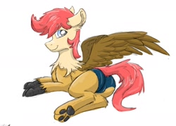 Size: 1280x916 | Tagged: safe, artist:pzkratzer, oc, hybrid, ponygriff, butt, clothes, male, panties, paws, plot, solo, speedo, spread wings, swimsuit, underwear, wings
