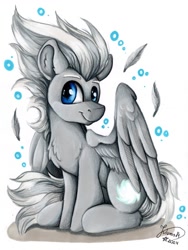 Size: 902x1200 | Tagged: safe, artist:julunis14, oc, oc only, oc:cloud swarmer, pegasus, pony, looking at you, male, pegasus oc, sitting, smiling, solo