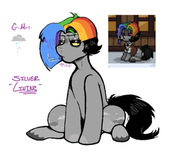 Size: 700x637 | Tagged: safe, artist:dsstoner, oc, oc only, oc:silver lining, earth pony, pony, ashes town, cigarette, cutie mark, male, multicolored hair, multicolored mane, rainbow hair, reference sheet, simple background, sitting, smoking, stallion, white background