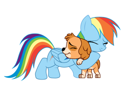 Size: 1478x1002 | Tagged: safe, artist:matiasdiplinlps, rainbow dash, dog, pegasus, pony, g4, cockapoo, crossover, duo, duo female, eyes closed, female, hug, mare, paw patrol, puppy, show accurate, showified, signature, simple background, skye (paw patrol), smiling, transparent background