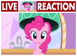 Size: 330x240 | Tagged: safe, edit, edited screencap, screencap, pinkie pie, earth pony, pony, g4, season 1, the best night ever, caption, cute, diapinkes, female, image macro, live tucker reaction, looking at you, mare, meme, open mouth, reaction image, solo, text