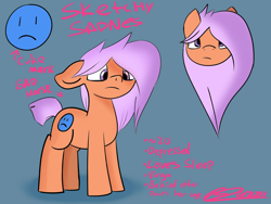 Size: 1600x1200 | Tagged: safe, artist:kenzie, oc, oc only, oc:sketchy sadness, earth pony, g4, depressed, depression, earth pony oc, frown, medibang paint, pink hair, pink mane, reference sheet, sad, short tail, signature, simple shading, solo, tail, writing