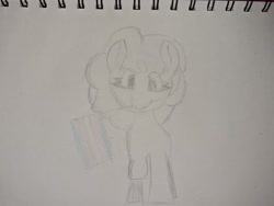Size: 4032x3024 | Tagged: safe, artist:crystaline, derpibooru exclusive, oc, oc only, oc:kristal (crystaline), earth pony, pony, photo, pride, pride flag, simple background, sketch, solo, traditional art, trans day of visibility, transgender pride flag, white background