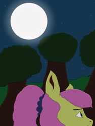 Size: 1536x2048 | Tagged: safe, artist:anythingpony, fluttershy, pegasus, pony, g4, alternate hairstyle, female, hill, mare, moon, night, outdoors, ponytail, scrunchie, signature, solo, stars, tree