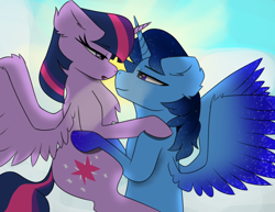 Size: 780x602 | Tagged: safe, twilight sparkle, oc, oc:blue thunder, alicorn, pony, g4, boop, canon x oc, female, lifting, looking at each other, looking at someone, male, noseboop, sexy, shipping, straight, sunny day, thundersparkle, twilight sparkle (alicorn)