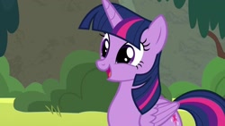 Size: 1200x675 | Tagged: safe, screencap, twilight sparkle, alicorn, pony, g4, surf and/or turf, cute, female, mare, open mouth, solo, twiabetes, twilight sparkle (alicorn)