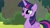 Size: 1200x675 | Tagged: safe, screencap, twilight sparkle, alicorn, pony, g4, surf and/or turf, cute, female, mare, open mouth, solo, twiabetes, twilight sparkle (alicorn)