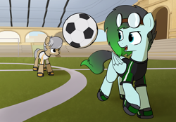 Size: 3300x2300 | Tagged: safe, artist:alexi148, oc, oc only, oc:gryph xander, oc:hind, earth pony, pegasus, pony, clothes, football, jersey, male, soccer field, sports, stadium, stallion