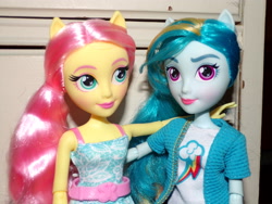 Size: 4608x3456 | Tagged: safe, fluttershy, rainbow dash, equestria girls, g4, doll, duo, not shipping, photo, toy
