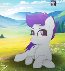 Size: 3300x3600 | Tagged: safe, artist:ramixe dash, derpibooru exclusive, oc, oc only, oc:lightning stars, pegasus, pony, g4, g5, g5 to g4, generation leap, looking up, magenta eyes, male, meadow, mountain, purple hair, scenery, signature, solo, stallion, watermark