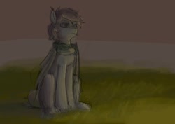 Size: 1280x905 | Tagged: safe, artist:wixkxu, oc, oc only, oc:miru, bat pony, pony, bat wings, brown hair, cigarette, clothes, ear fluff, folded wings, grass, grass field, gray, male, scarf, sitting, solo, stallion, wings