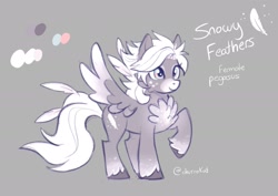 Size: 1893x1337 | Tagged: safe, artist:churrokat, oc, oc only, oc:snowy feather, pegasus, pony, chest fluff, colored wings, female, gray background, mare, reference sheet, simple background, solo, unshorn fetlocks, wings