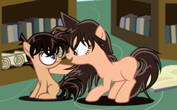 Size: 1620x1012 | Tagged: safe, artist:universecontelation, earth pony, pony, g4, book, bookshelf, detective conan, female, glasses, male, ponified, ran (detective conan), rule 85