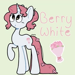 Size: 2048x2048 | Tagged: safe, artist:starrymysteryy, oc, oc only, oc:berry white, pony, unicorn, adoptable, female, horn, mare, reference sheet, simple background
