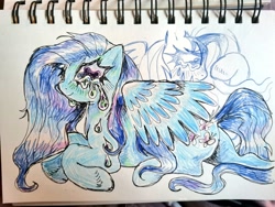 Size: 1024x768 | Tagged: safe, artist:drawswithpaws, pegasus, pony, blue coat, female, mare, smiling, solo, traditional art
