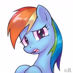 Size: 4000x4000 | Tagged: safe, artist:低能废物, rainbow dash, pegasus, pony, g4, bust, d:, female, looking at you, mare, open mouth, portrait, reaction image, simple background, solo, text, white background, worried