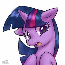Size: 4000x4000 | Tagged: safe, artist:低能废物, twilight sparkle, pony, unicorn, bust, female, horn, looking at you, mare, open mouth, portrait, simple background, solo, text, white background, worried