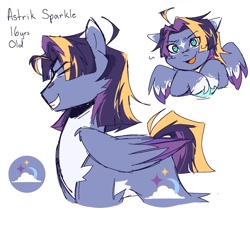 Size: 1280x1280 | Tagged: safe, artist:twiligh7s_bong, oc, oc only, oc:astrik sparkle, pegasus, pony, coat markings, colored wings, facial markings, magical lesbian spawn, male, next generation, offspring, parent:sunset shimmer, parent:twilight sparkle, parents:sunsetsparkle, simple background, stallion, star (coat marking), white background, wings