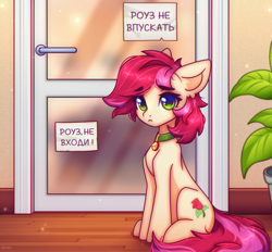 Size: 2691x2500 | Tagged: safe, artist:radioaxi, roseluck, earth pony, pony, behaving like a cat, collar, commission, commissioner:doom9454, cute, cyrillic, door, meme, pet tag, ponified animal photo, pony pet, rosepet, russian, sitting, translated in the description