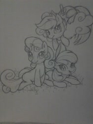 Size: 1536x2048 | Tagged: safe, artist:jadedjynx, apple bloom, scootaloo, sweetie belle, earth pony, pegasus, pony, unicorn, cutie mark crusaders, female, filly, foal, grass, horn, sketch, traditional art