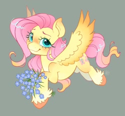 Size: 1024x945 | Tagged: safe, artist:catmintyt, fluttershy, pegasus, pony, g4, blue eyes, blushing, cute, flower, flying, forget-me-not (flower), gray background, hoof hold, looking at you, shyabetes, simple background, smiling, solo, spread wings, unshorn fetlocks, wings