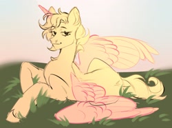 Size: 2560x1902 | Tagged: safe, artist:xiningtoxin, pony, commission, field, grass, lying down, prone, solo, your character here