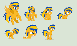 Size: 5872x3536 | Tagged: safe, artist:stephen-fisher, oc, oc only, oc:flare spark, pegasus, expressions, facial expressions, female, flare spark is best facemaker, gray background, simple background, solo