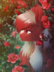 Size: 1200x1600 | Tagged: safe, artist:glumarkoj, oc, oc only, oc:red camelia, earth pony, pony, camelia, chest fluff, commission, ear fluff, female, flower, half body, mare, pale belly, red coat, solo, two toned mane